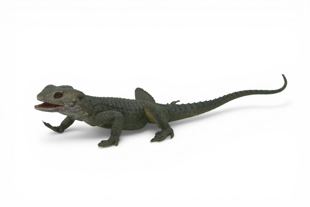 Spiny Lizard, Grey, Hand Painted, Educational, Museum Quality, Realistic, Rubber, Reptile, Lizard, Diorama Model, Figure, Toys, Kids, Gift,      12 Inches.    IM31 B659