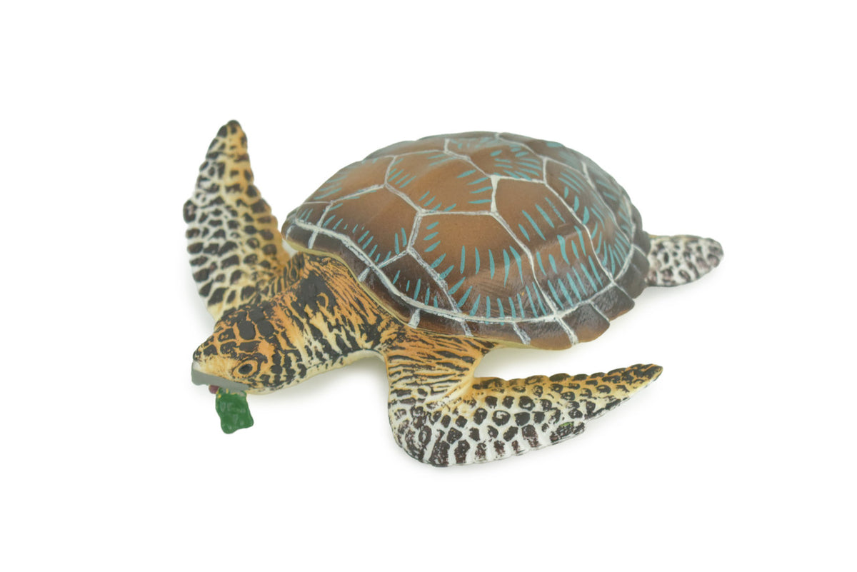 Turtle, Green Sea Turtle, Museum Quality, Hand Painted, Rubber Reptile, Realistic, Diorama, Model, Replica, Toy, Kids, Educational, Gift, 6 Inches CH1003 BB221