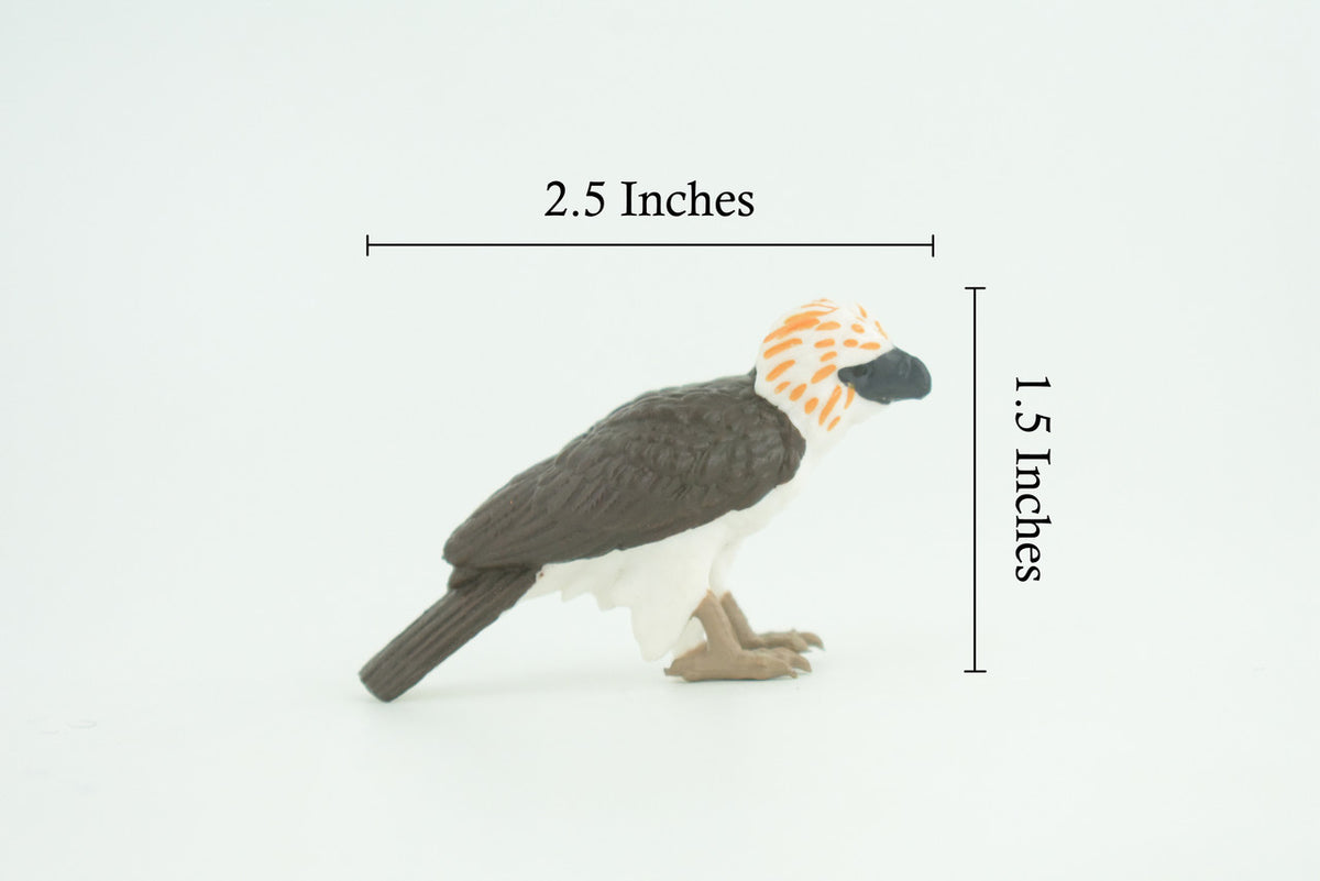 Philippine Eagle, Monkey Eagle, Hand Painted, Educational, Museum Quality, Rubber Bird, Raptor, Bird of Prey, Diorama, Toys, Kids, Gift, 2 1/2 Inches. CH926 BB204