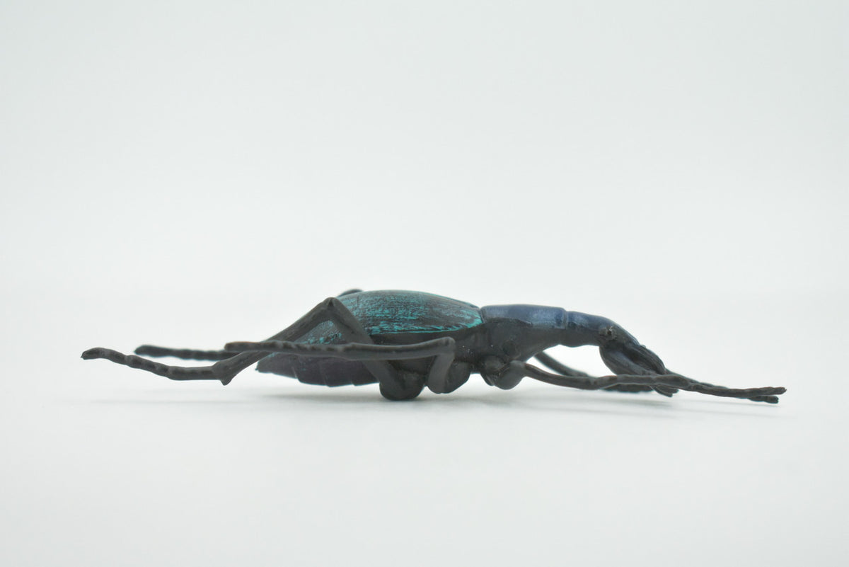 Beetle, Bombardier, Museum Quality, Hand Painted, Rubber Insect, Realistic, Toy, Figure, Model, Kids, Educational, Gift,    4 1/2"     CH618 BB167