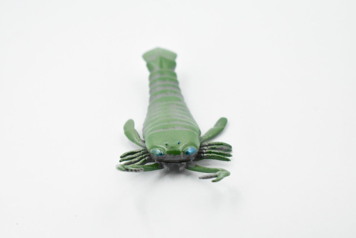Eurypterida, Sea Scorpions, Extinct Arthropods, Museum Quality, Rubber, Hand Painted, Realistic, Diorama Model, Kids, Educational, Gift,    5 1/2 Inches.    CH431 BB109
