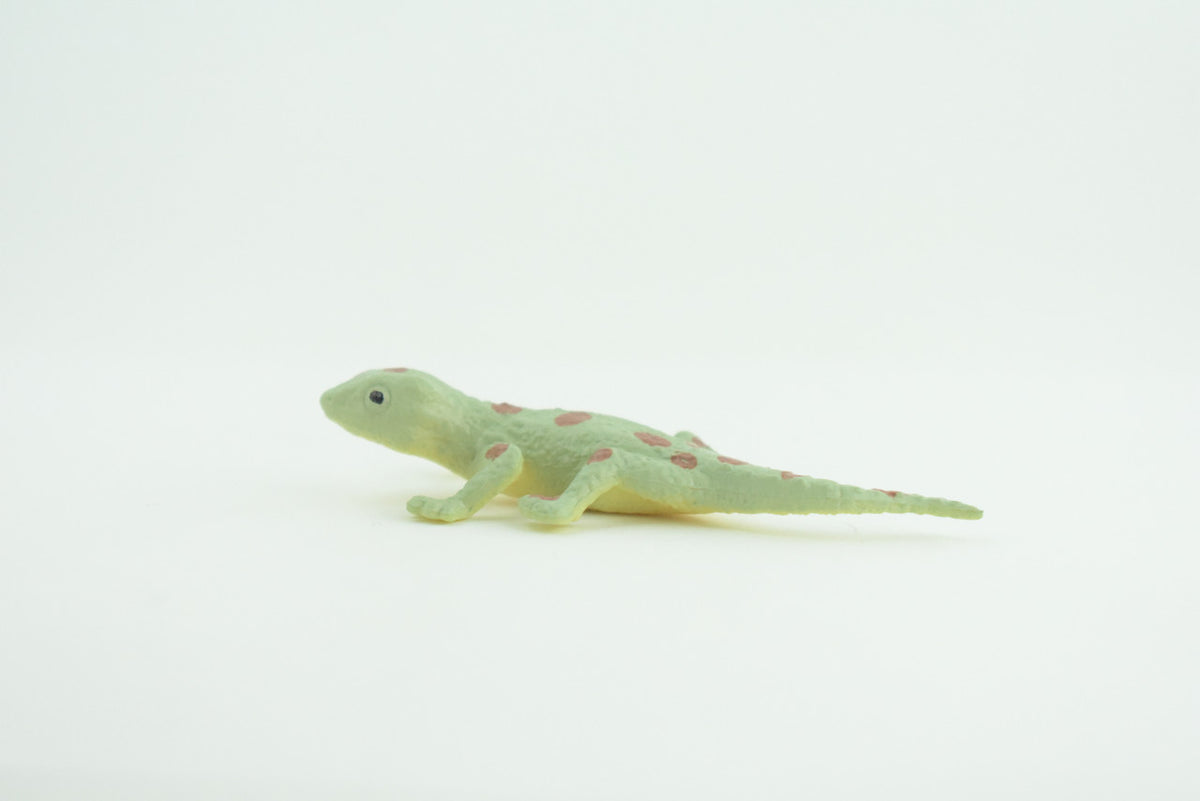Spotted Gecko, Lizard, Rubber Reptile, Hand Painted, Educational, Realistic, Model, Toys, Kids, Gift,     2 1/2 Inches.    WR46 B197