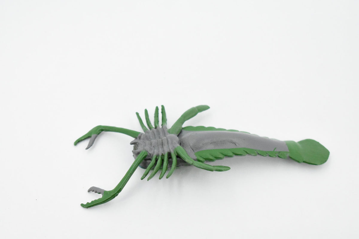 Eurypterida, Sea Scorpions, Extinct Arthropods, Museum Quality, Rubber, Hand Painted, Realistic, Diorama Model, Kids, Educational, Gift,    5 1/2 Inches.    CH431 BB109