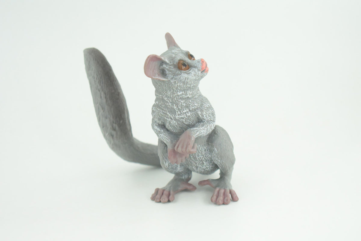Bush Baby, Galago, Hand Painted, Museum Quality, Educational, Rubber Animal, Very Realistic Primate, Diorama, Toy, Kids, Gift,  4 Inches.  CH847 BB197