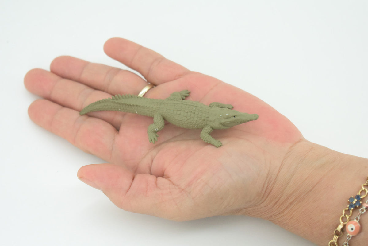 American Crocodile, Crocodylus acutus, Saltwater Crocodile, Educational, Rubber Reptile, Realistic Figure, Lifelike, Gift,    4 1/4"    SF41 B15