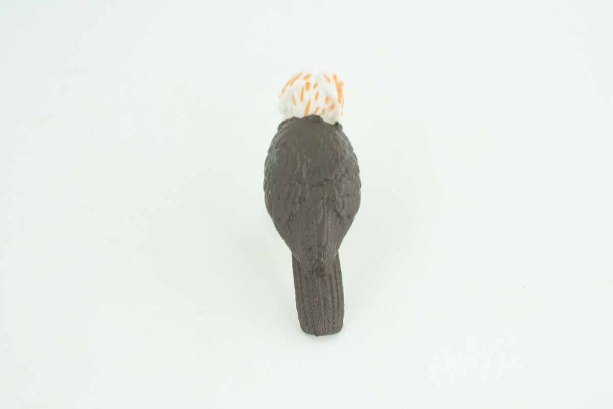 Philippine Eagle, Monkey Eagle, Hand Painted, Educational, Museum Quality, Rubber Bird, Raptor, Bird of Prey, Diorama, Toys, Kids, Gift,   2 1/2  Inches.  CH926 BB204