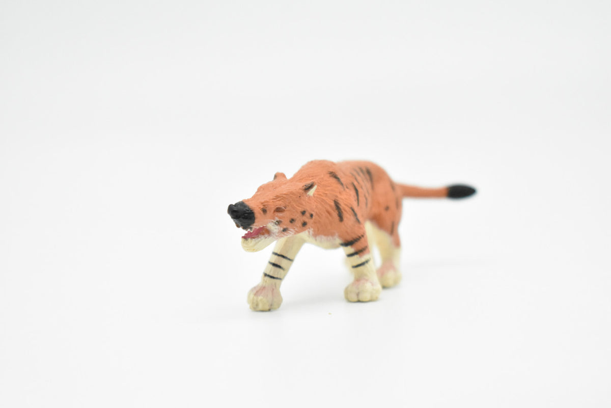 Andrewsarchus, Ancient Mammal, Educational, Realistic, Diorama Figure, Lifelike Rubber Model, Gift,   2 1/2 Inches.    F3138 B224