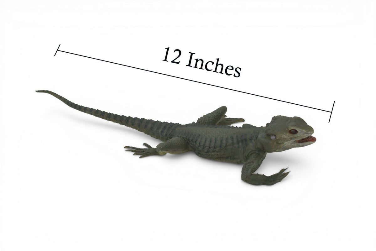 Spiny Lizard, Grey, Hand Painted, Educational, Museum Quality, Realistic, Rubber, Reptile, Lizard, Diorama Model, Figure, Toys, Kids, Gift, 12 Inches. IM31 B659