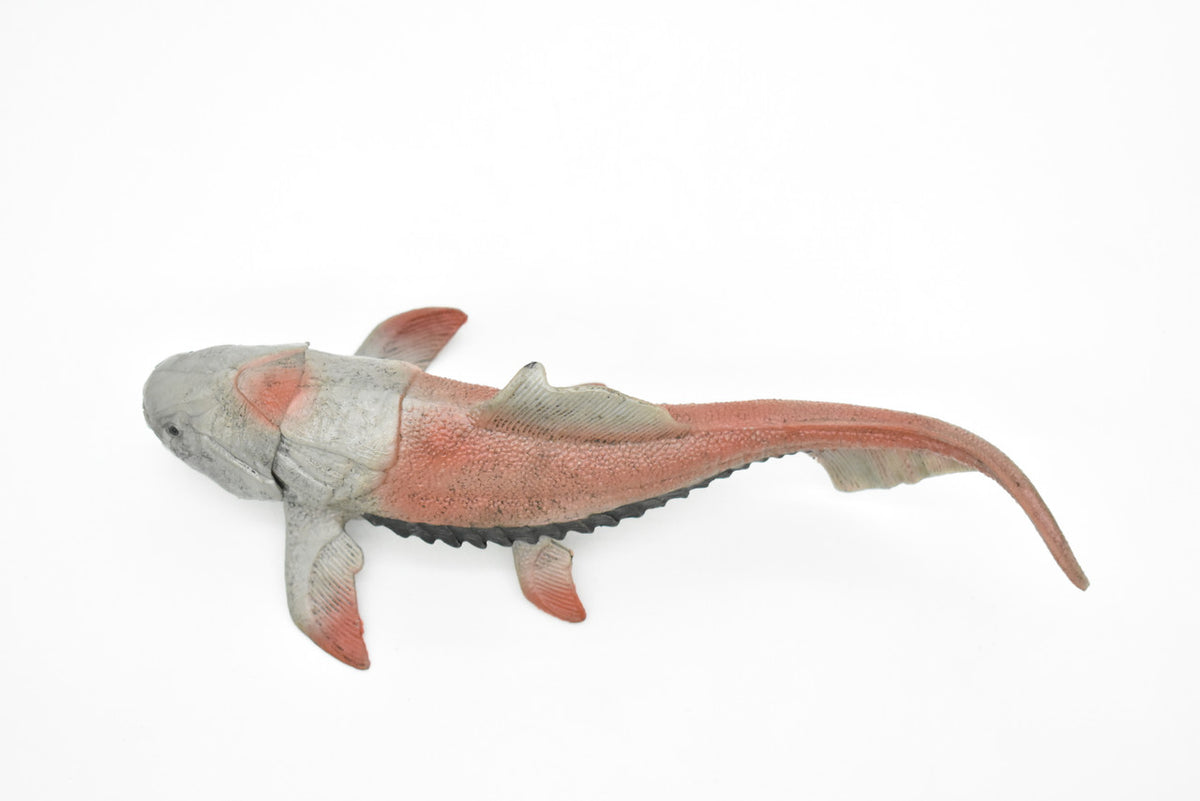 Dunkleosteus, Prehistoric Fish, Dinosaur, Museum Quality, Rubber Fish, Hand Painted, Realistic Toy Figure, Diorama Model, Kids, Educational,  8 Inches.
