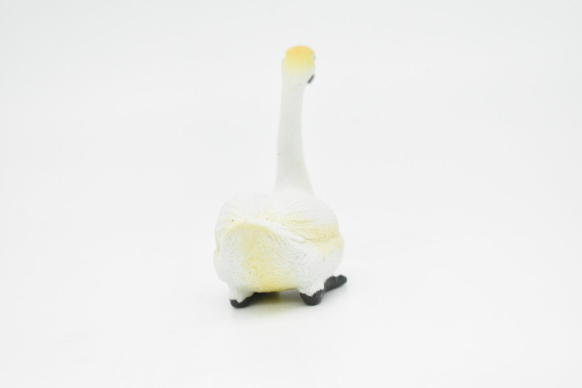 White Swan, Museum Quality, Realistic, Plastic, Bird Design, Educational, Hand Painted, Figure, Lifelike, Diorama Model, Figurine, Replica, Toy, Gift,      2 1/2 Inches     CWG192 BB45