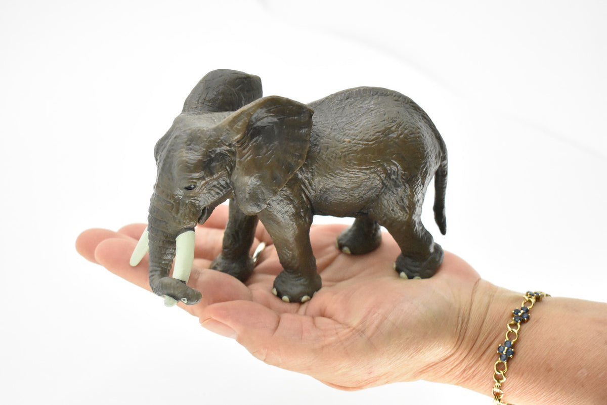African Elephant, Loxodonta africana, Museum Quality, Hand Painted, Rubber Animal, Realistic Toy Figure, Model, Kids, Educational,  6 Inches. 