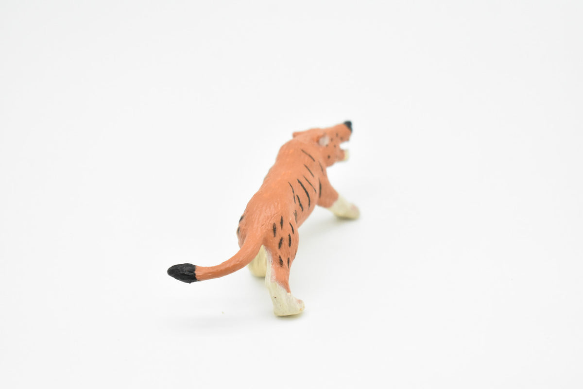 Andrewsarchus, Ancient Mammal, Educational, Realistic, Diorama Figure, Lifelike Rubber Model, Gift,   2 1/2 Inches.    F3138 B224
