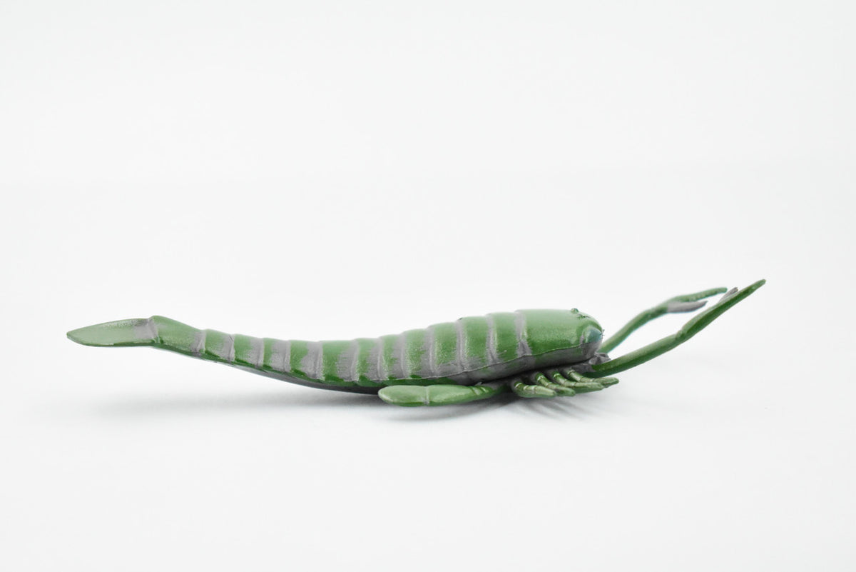 Eurypterida, Sea Scorpions, Extinct Arthropods, Museum Quality, Rubber, Hand Painted, Realistic, Diorama Model, Kids, Educational, Gift,    5 1/2 Inches.    CH431 BB109