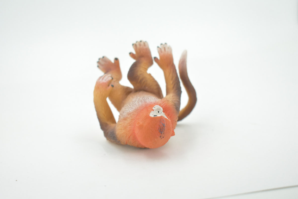 Monkey, Golden monkey, Primate, Museum Quality, Hand Painted, Realistic, Rubber, Figure, Model, Toy, Kids, Educational, Gift,      3 1/2"      CH672 BB170