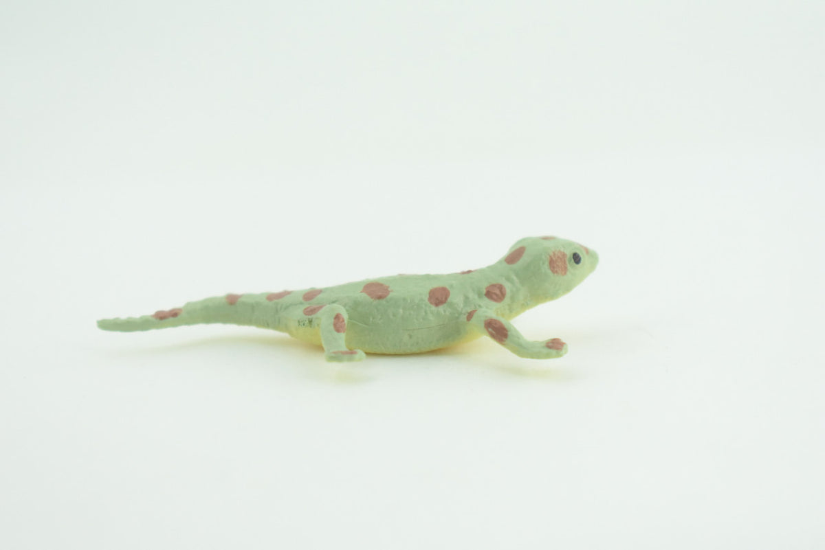 Spotted Gecko, Lizard, Rubber Reptile, Hand Painted, Educational, Realistic, Model, Toys, Kids, Gift,     2 1/2 Inches.    WR46 B197