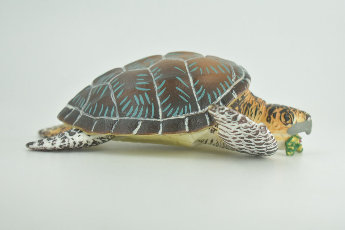 Turtle, Green Sea Turtle, Museum Quality, Hand Painted, Rubber Reptile, Realistic, Diorama, Model, Replica, Toy, Kids, Educational, Gift,   6 Inches   CH1003 BB221