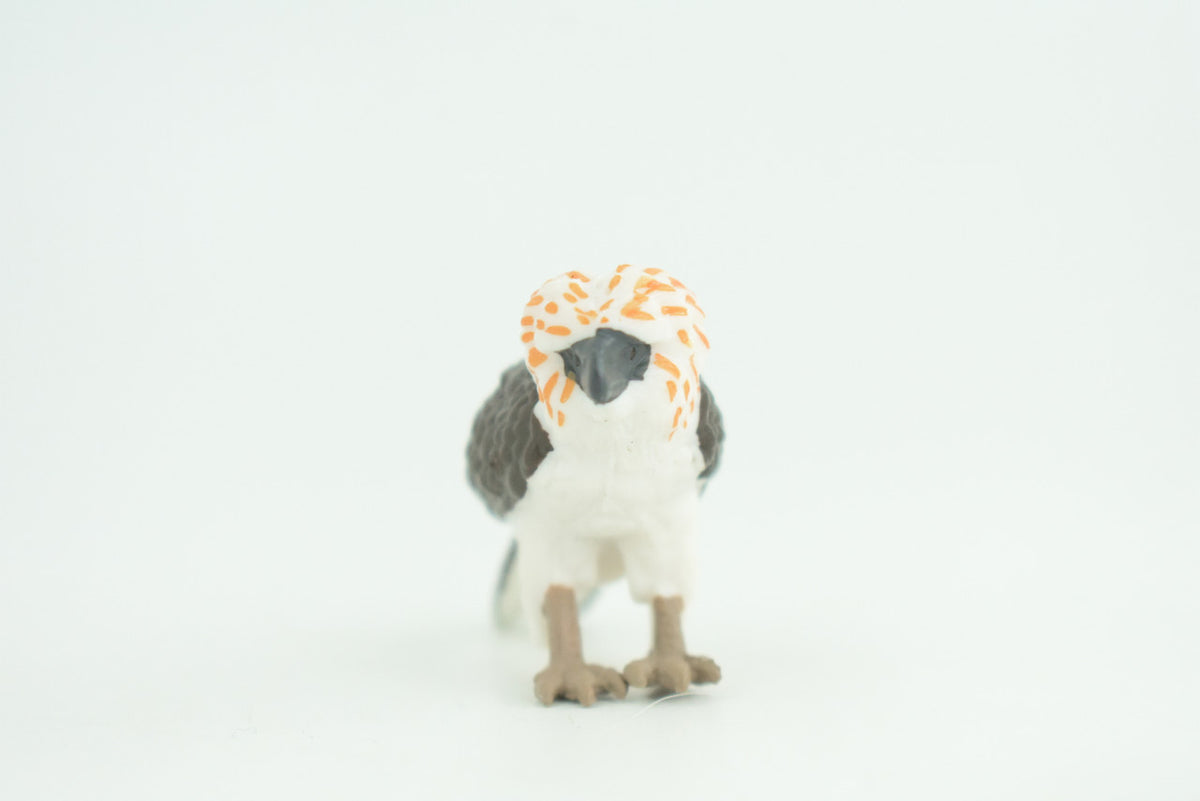 Philippine Eagle, Monkey Eagle, Hand Painted, Educational, Museum Quality, Rubber Bird, Raptor, Bird of Prey, Diorama, Toys, Kids, Gift,   2 1/2  Inches.  CH926 BB204