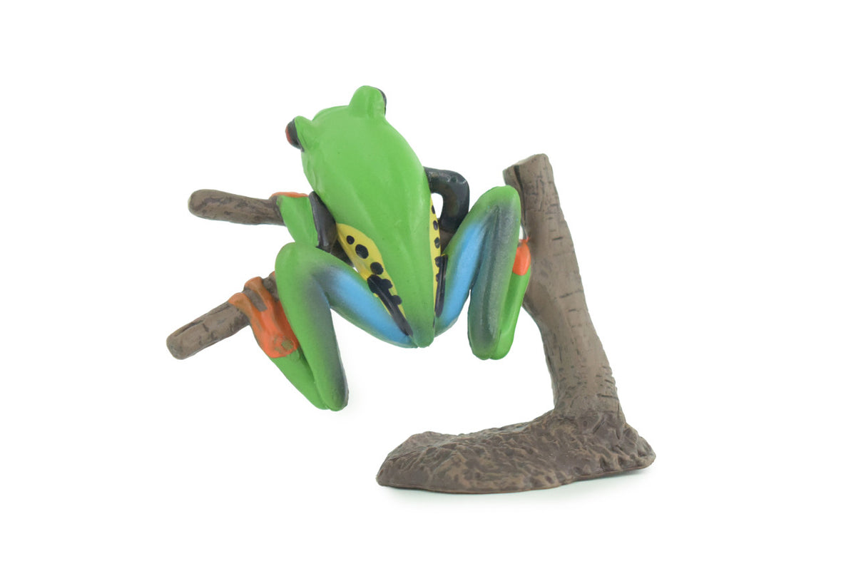 Red Eye Tree Frog, Hand Painted, Museum Quality, Rubber, Educational, Realistic, Diorama Model, Figure, Lifelike, Replica, Gift, 3 inches. CH1012 BB217
