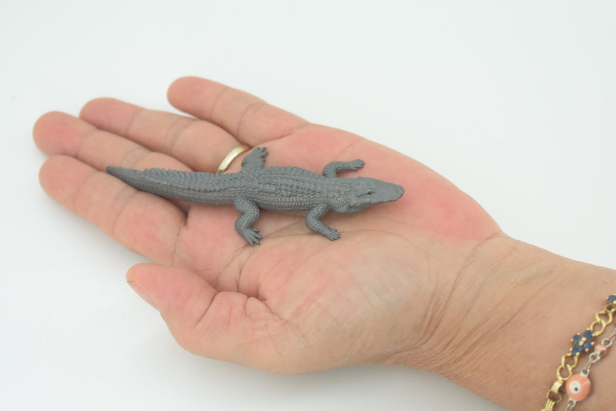American Alligator, Alligator mississippiensis, Hand Painted, Educational, Rubber Reptile, Realistic Figure, Lifelike, Gift,    4"    SF40 B15