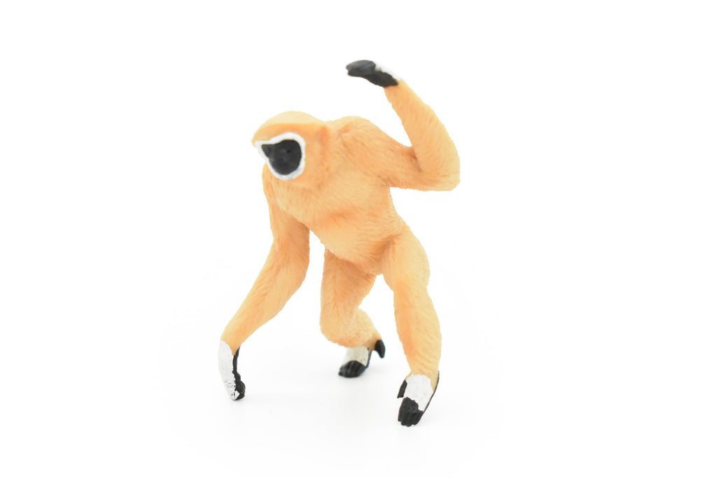 Gibbon Toy, Monkey, Chimp, White Handed, Very Realistic Rubber Figure, Model, Educational, Animal, Hand Painted Figurines,     3"    CH075 BB81