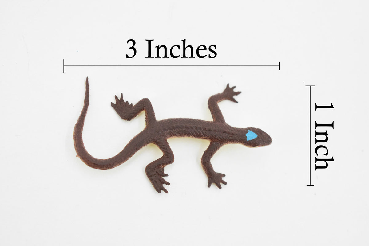 Lizard, Brown Lizard Blue Spot on Head, Rubber Reptile Toy, Realistic Figure, Model, Replica, Kids, Educational, Gift,    2 1/2"     F6067 B380