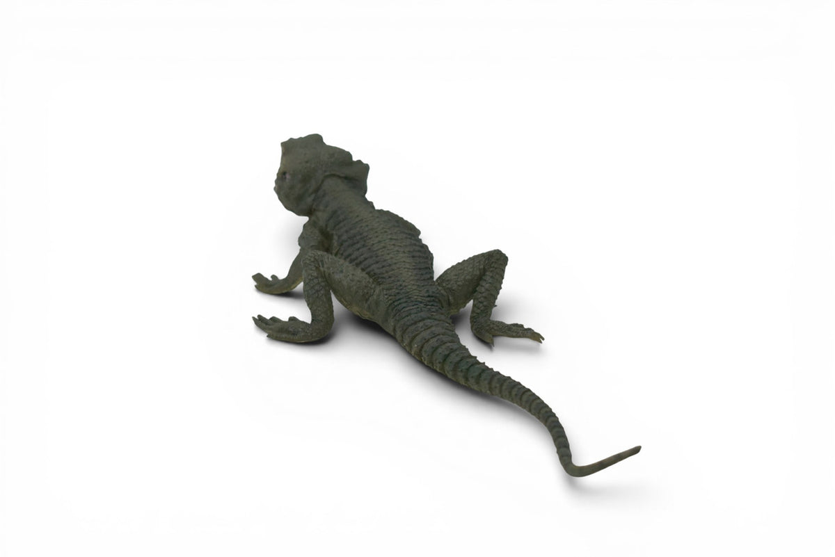 Spiny Lizard, Grey, Hand Painted, Educational, Museum Quality, Realistic, Rubber, Reptile, Lizard, Diorama Model, Figure, Toys, Kids, Gift, 12 Inches. IM31 B659