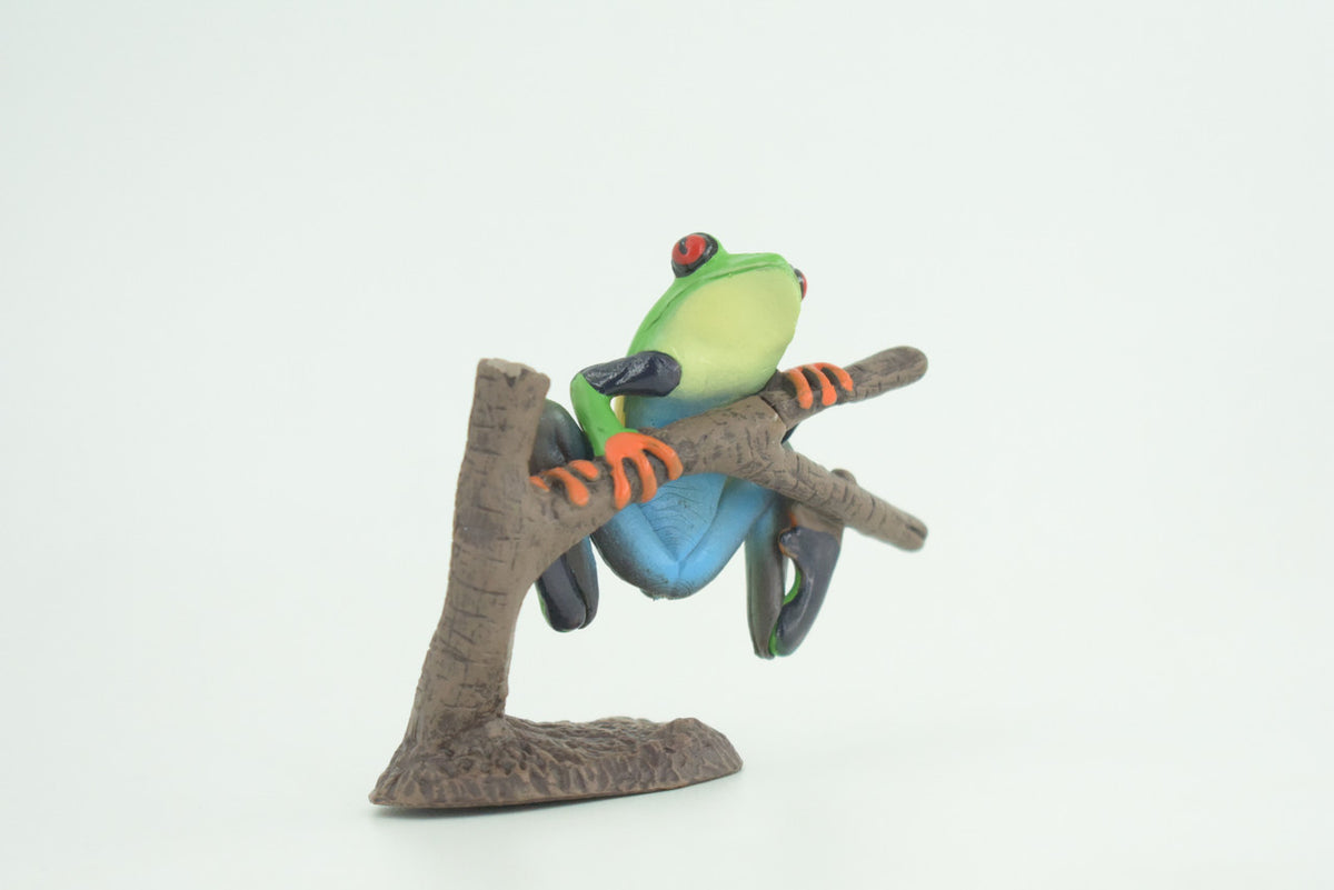 Red Eye Tree Frog, Hand Painted, Museum Quality, Rubber, Educational, Realistic, Diorama Model, Figure, Lifelike, Replica, Gift,   3 inches.    CH1012 BB217