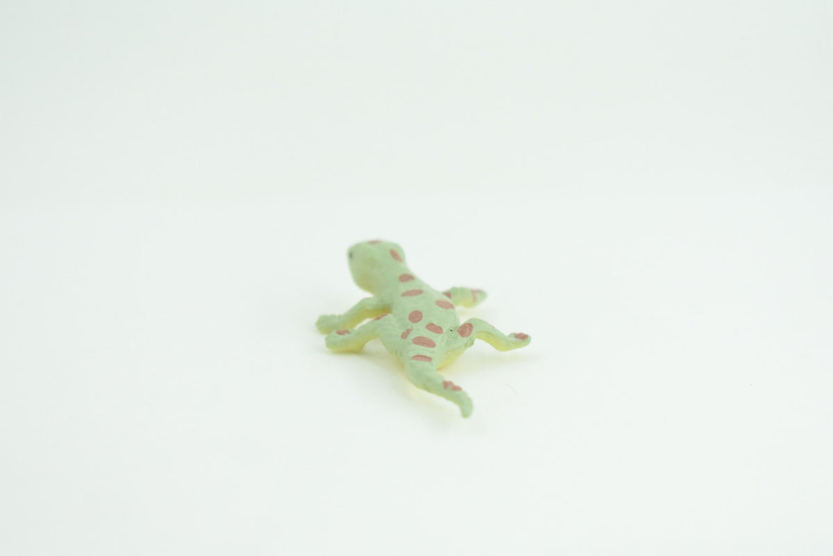 Spotted Gecko, Lizard, Rubber Reptile, Hand Painted, Educational, Realistic, Model, Toys, Kids, Gift,     2 1/2 Inches.    WR46 B197