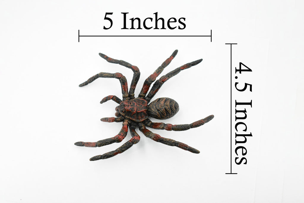 Wolf Spider, Arachnida, Museum Quality, Educational, Hand Painted, Rubber Insect, Diorama Model, Realistic, Kids, Toys, 5 Inches. 
