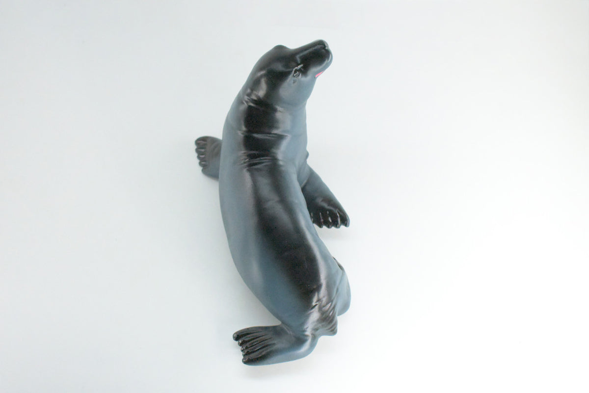 Seal, Pinniped, Marine Mammals, High Quality, Soft Rubber  Hand Painted, Educational, Realistic, Diorama Figure, Model, Replica, Gift,    10 Inches.   IM08 B655