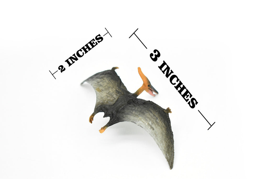 Pteranodon Dinosaur, Museum Quality, Animal, Educational, Realistic Hand Painted, Figure, Lifelike Model, Vintage Replica, Toy,  3 Inches. 
