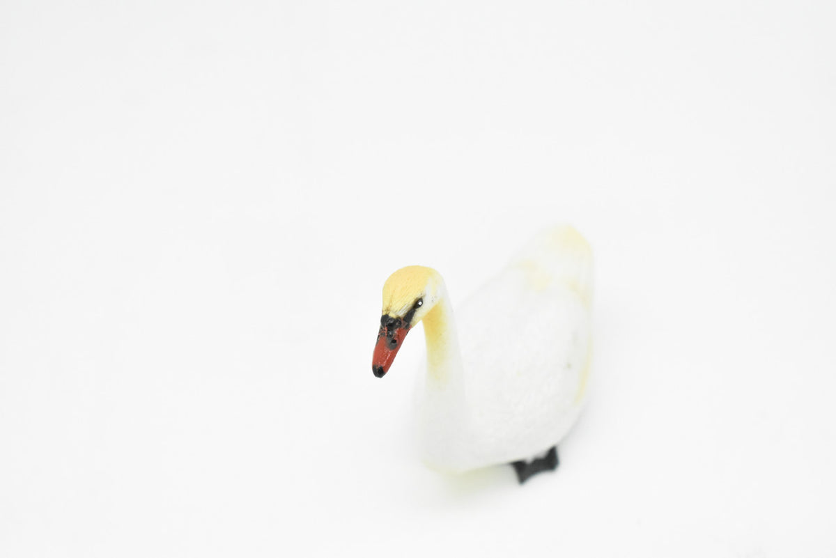 White Swan, Museum Quality, Realistic, Plastic, Bird Design, Educational, Hand Painted, Figure, Lifelike, Diorama Model, Figurine, Replica, Toy, Gift,      2 1/2 Inches     CWG192 BB45