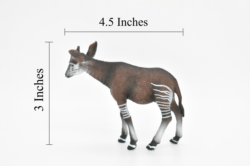 Okapi, Forest Giraffe, Museum Quality, Hand Painted, Educational, Rubber Animal, Realistic Toy Figure, Diorama Model, Kids,  4 1/2 Inches. 