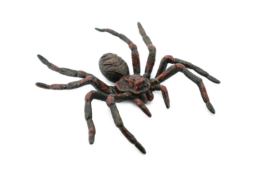 Wolf Spider, Arachnida, Museum Quality, Educational, Hand Painted, Rubber Insect, Diorama Model, Realistic, Kids, Toys, 5 Inches. 