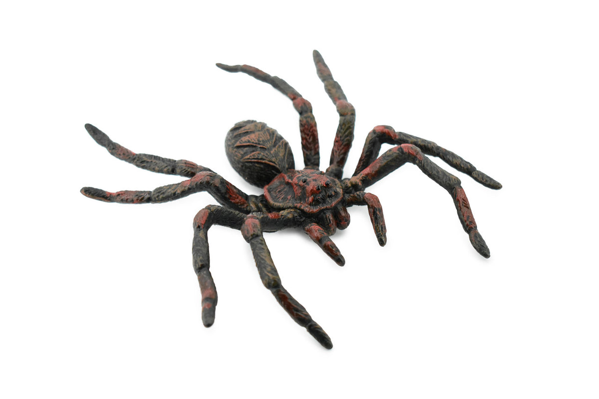 Wolf Spider, Arachnida, Museum Quality, Educational, Hand Painted, Rubber Insect, Diorama Model, Realistic, Kids, Toys, 5 Inches. 