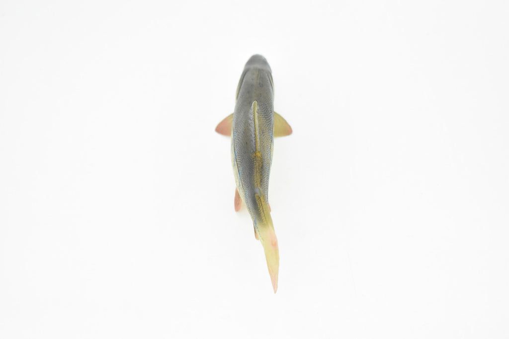 Salmon, Toy, King, Chinook, Fish, Very Realistic Rubber Figure, Model, Educational, Animal, Hand Painted Figurines,    6"    CH033 BB74