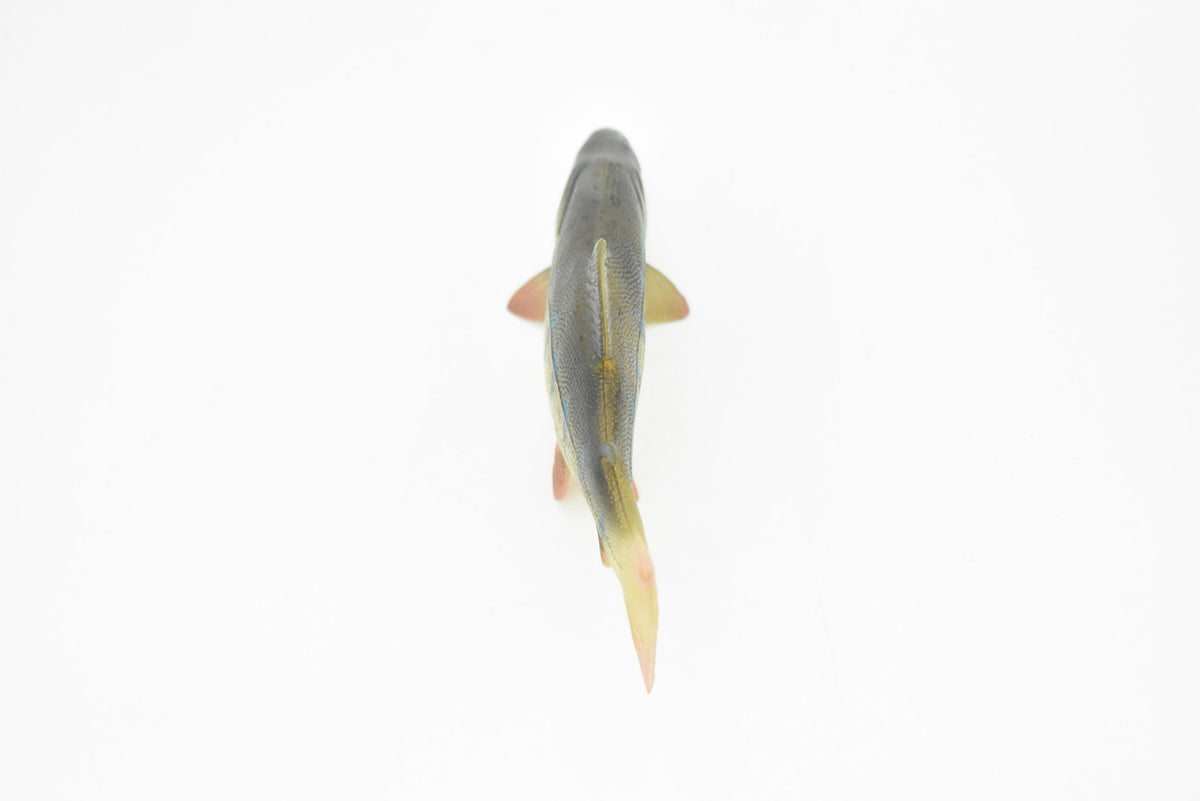 Salmon, Toy, King, Chinook, Fish, Very Realistic Rubber Figure, Model, Educational, Animal, Hand Painted Figurines,    6"    CH033 BB74