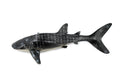 Whale Shark, Gentle Giant, Museum Quality, Educational, Hand Painted, Rubber Fish, Realistic Toy Figure, Diorama Model, Replica, Kids,  9 Inches.
