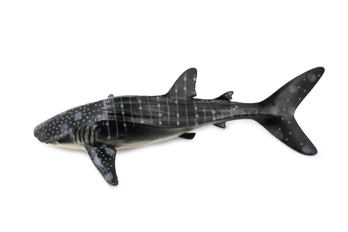 Whale Shark, Gentle Giant, Museum Quality, Educational, Hand Painted, Rubber Fish, Realistic Toy Figure, Diorama Model, Replica, Kids,  9 Inches.