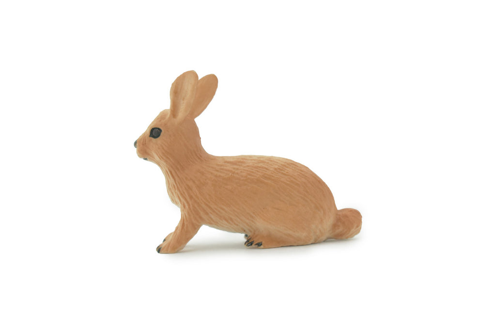 Rabbit, Hare, Bunny Rabbits, Museum Quality, Hand Painted, Rubber Animal, Toy, Figure, Realistic, Model, Replica, Kids, Educational, Gift,        2"      CH694 BB173