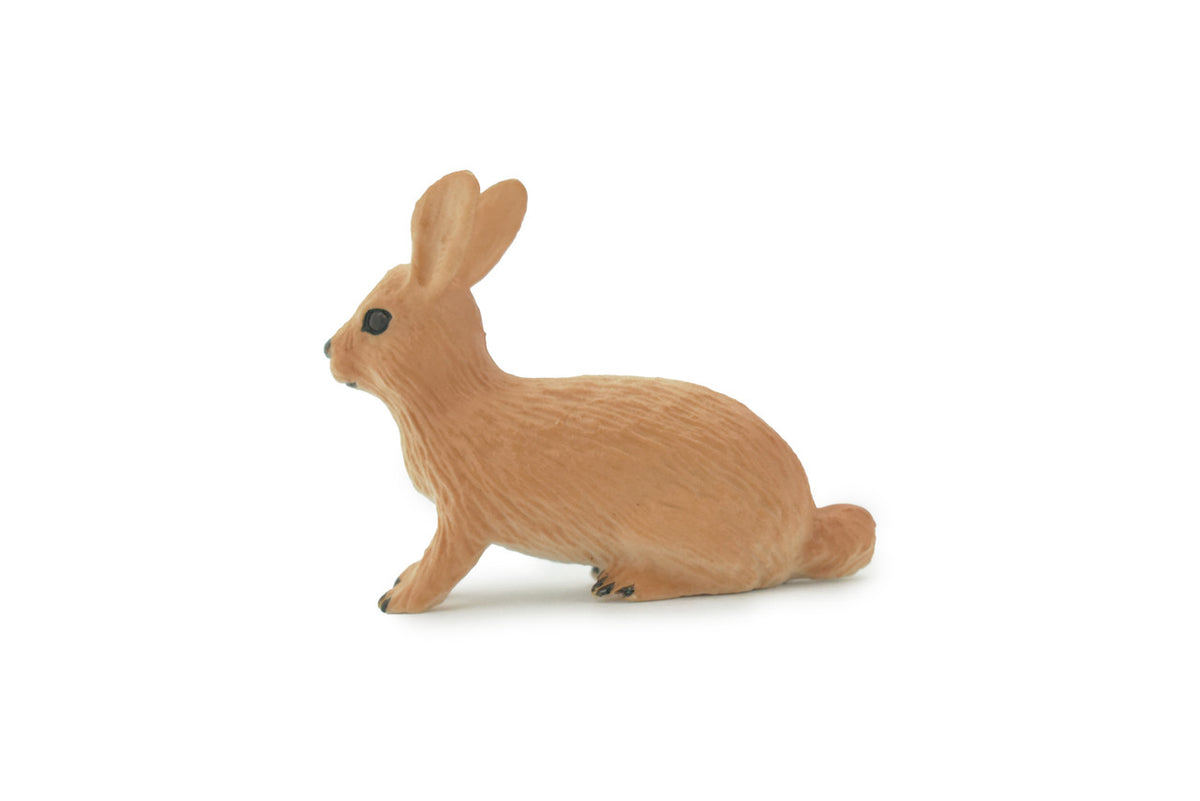 Rabbit, Hare, Bunny Rabbits, Museum Quality, Hand Painted, Rubber Animal, Toy, Figure, Realistic, Model, Replica, Kids, Educational, Gift,        2"      CH694 BB173