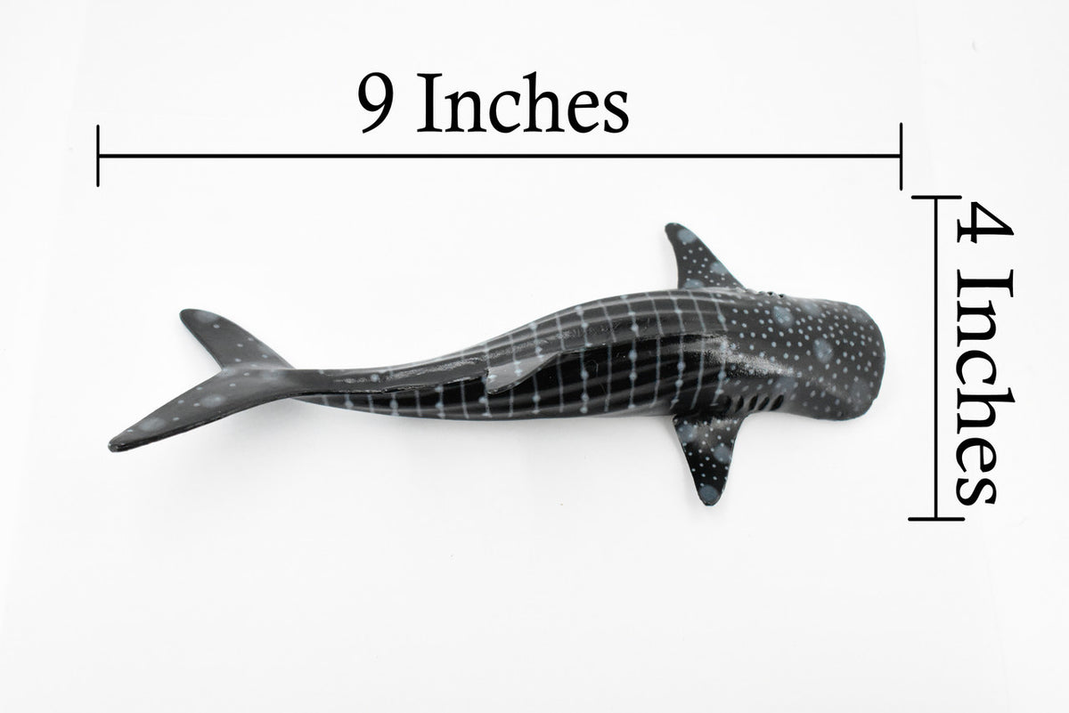 Whale Shark, Gentle Giant, Museum Quality, Educational, Hand Painted, Rubber Fish, Realistic Toy Figure, Diorama Model, Replica, Kids,  9 Inches.