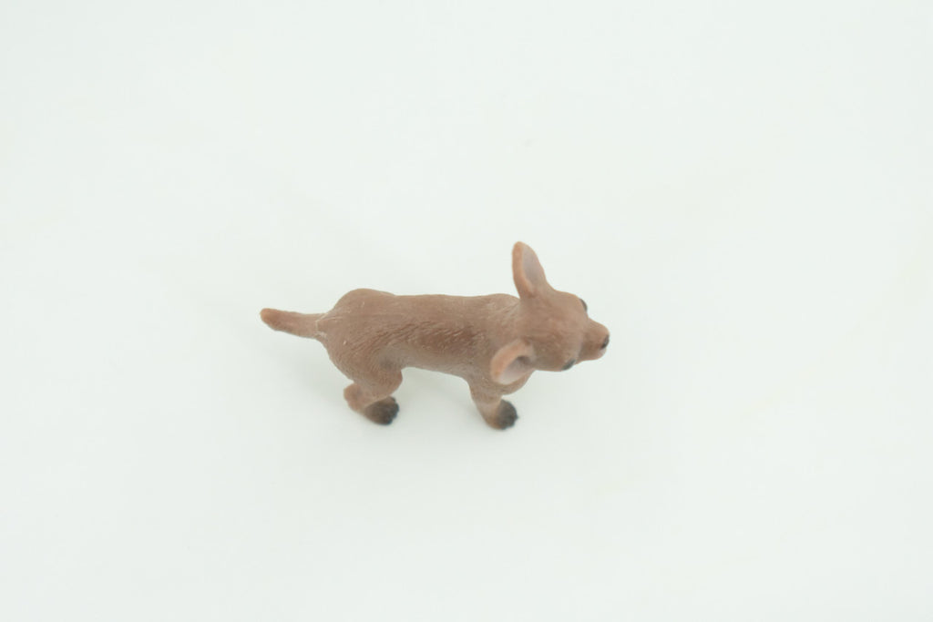 Chihuahua Dog, Rubber Canine, Hand Painted, Educational, Realistic, K9, Figure, Model, Replica, Toys, Kids, Gift,   1 3/4 Inches.   CH737 BB184