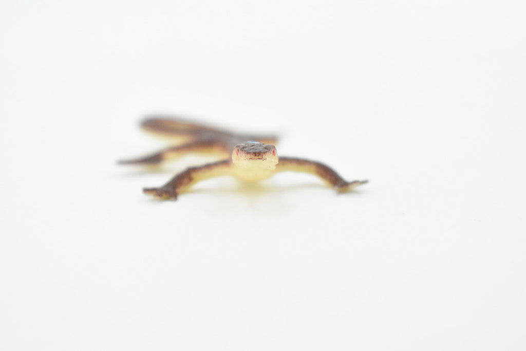 Lizard, Brown Lizard Blue Spot on Head, Rubber Reptile Toy, Realistic Figure, Model, Replica, Kids, Educational, Gift,    2 1/2"     F6067 B380