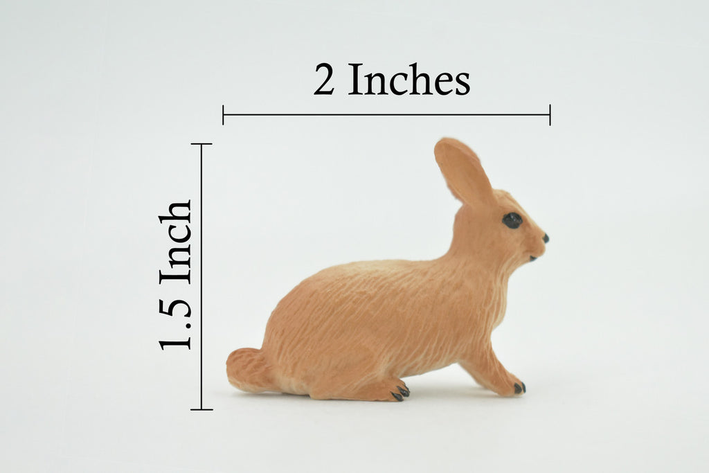 Rabbit, Hare, Bunny Rabbits, Museum Quality, Hand Painted, Rubber Animal, Toy, Figure, Realistic, Model, Replica, Kids, Educational, Gift,        2"      CH694 BB173