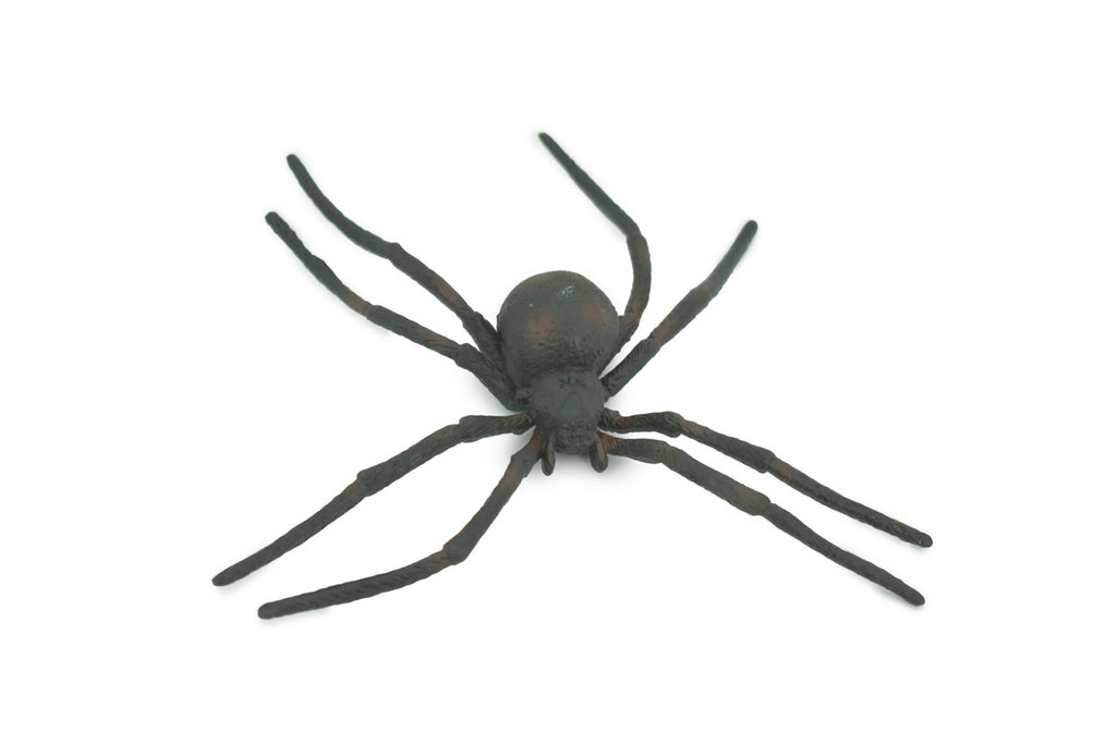 Spider, Black Widow, Latrodectus, High Quality, Hand Painted, Hard Rubber, Insect, Realistic, Figure, Model, Replica, Toy, Kids, Educational, Gift,     4"   CH290 BB179