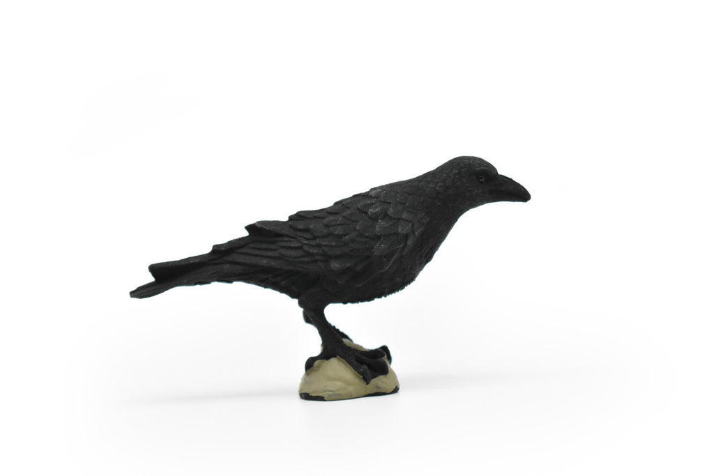Raven, Crow Toy, Realistic Plastic Scale Model     3"      F1993 B624