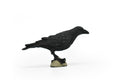 Raven, Crow Toy, Realistic Plastic Scale Model     3"      F1993 B624