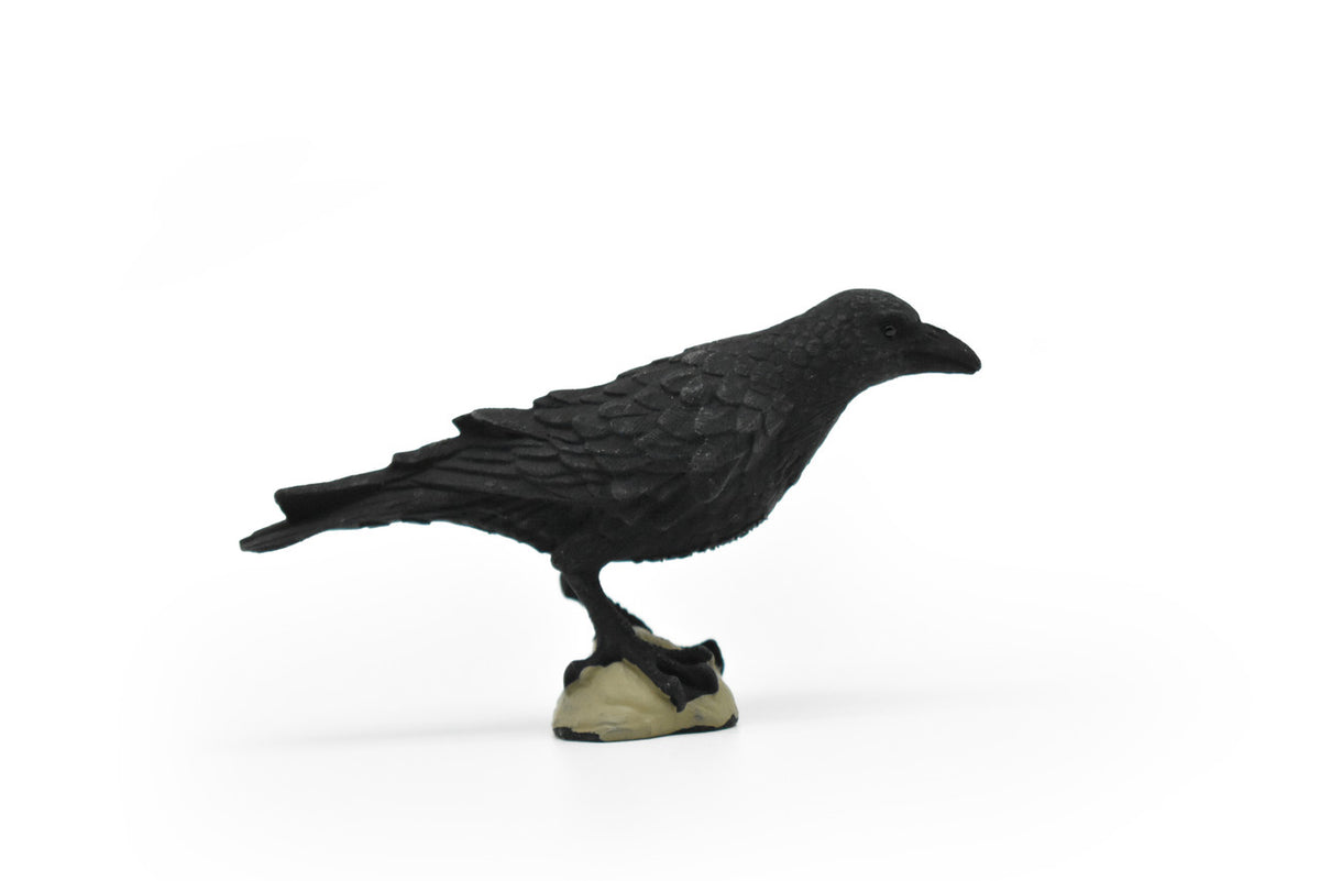 Raven, Crow Toy, Realistic Plastic Scale Model     3"      F1993 B624