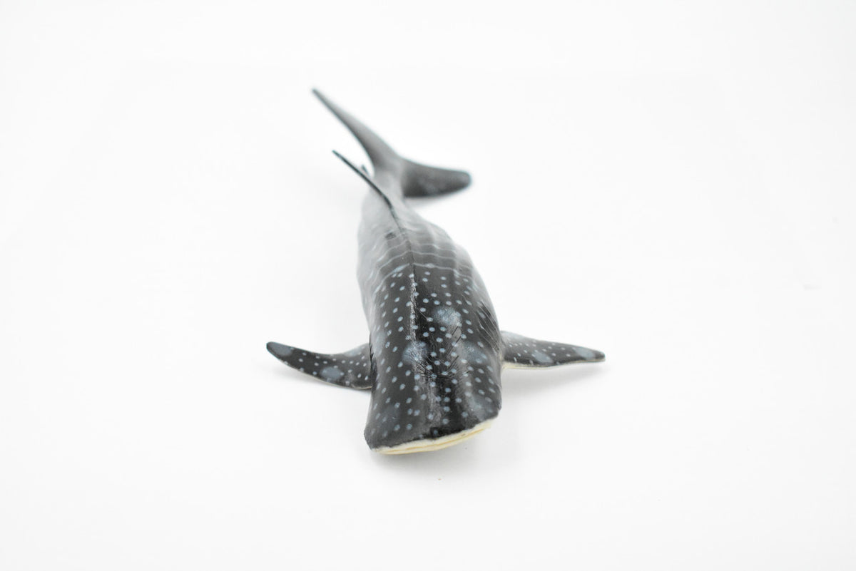 Whale Shark, Gentle Giant, Museum Quality, Educational, Hand Painted, Rubber Fish, Realistic Toy Figure, Diorama Model, Replica, Kids,  9 Inches.